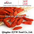 Goji Berry, Factory Directly Supply Goji Berry Dried Wolfberry